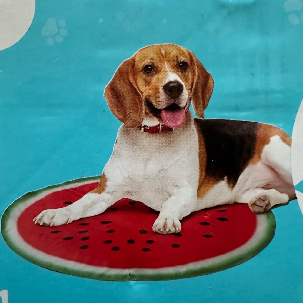 Watermelon Pet Cooling Mat